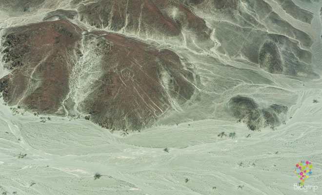 Figura "hombre buho" o "astronauta" vuelo líneas de Nazca