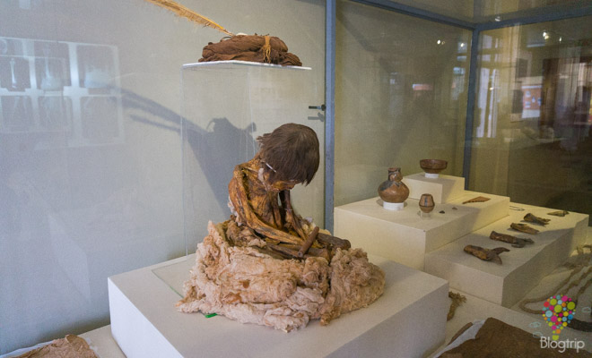 Momia de la cultura Ica - museo de Ica Perú